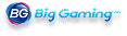 Big Gaming Logo